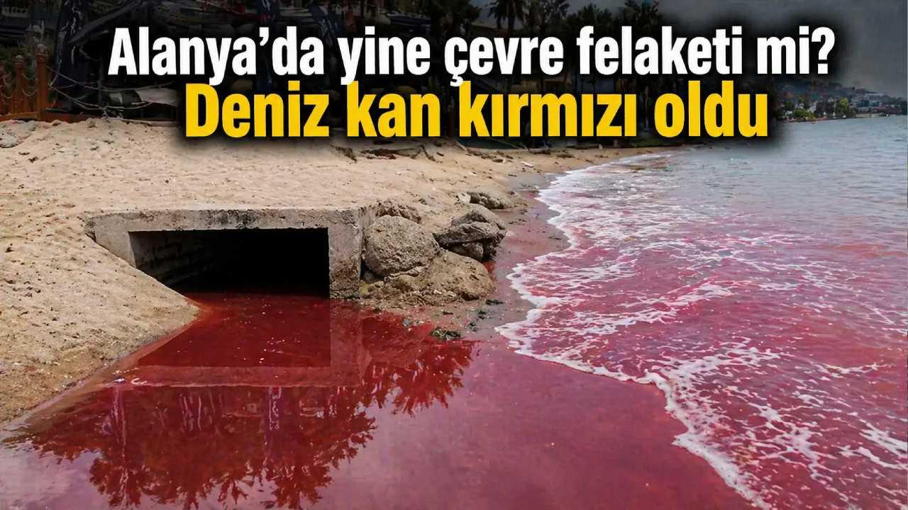 Alanya’da deniz kırmızıya döndü: Çevre felaketi şüphesi